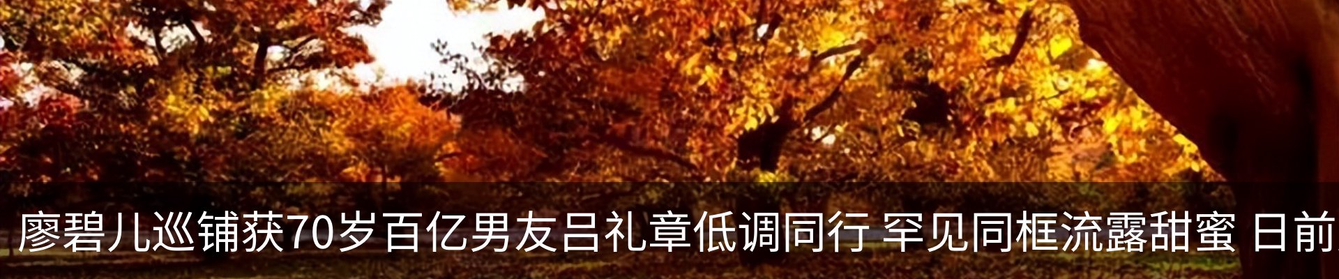 资讯动态
